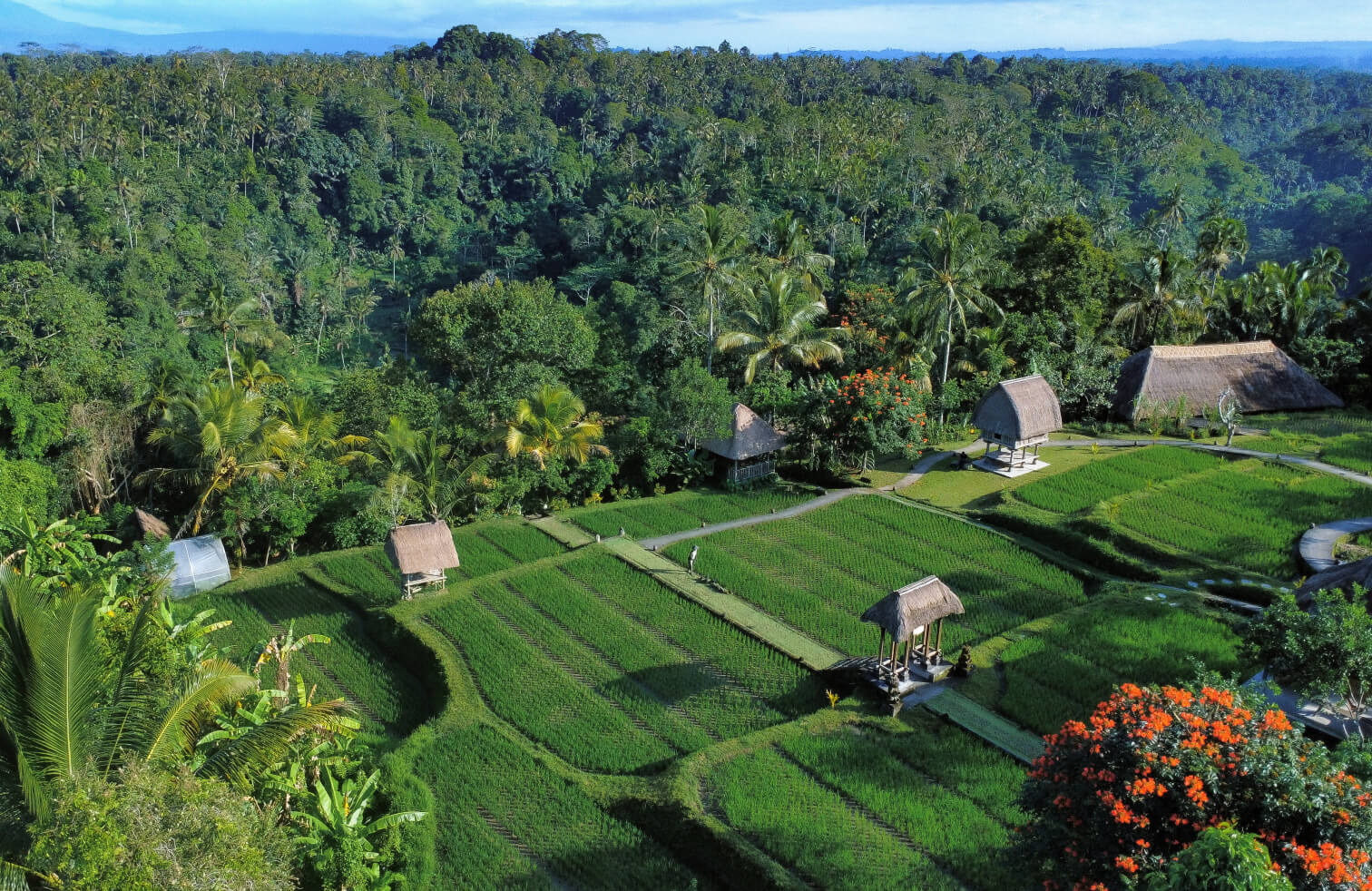 home-banner